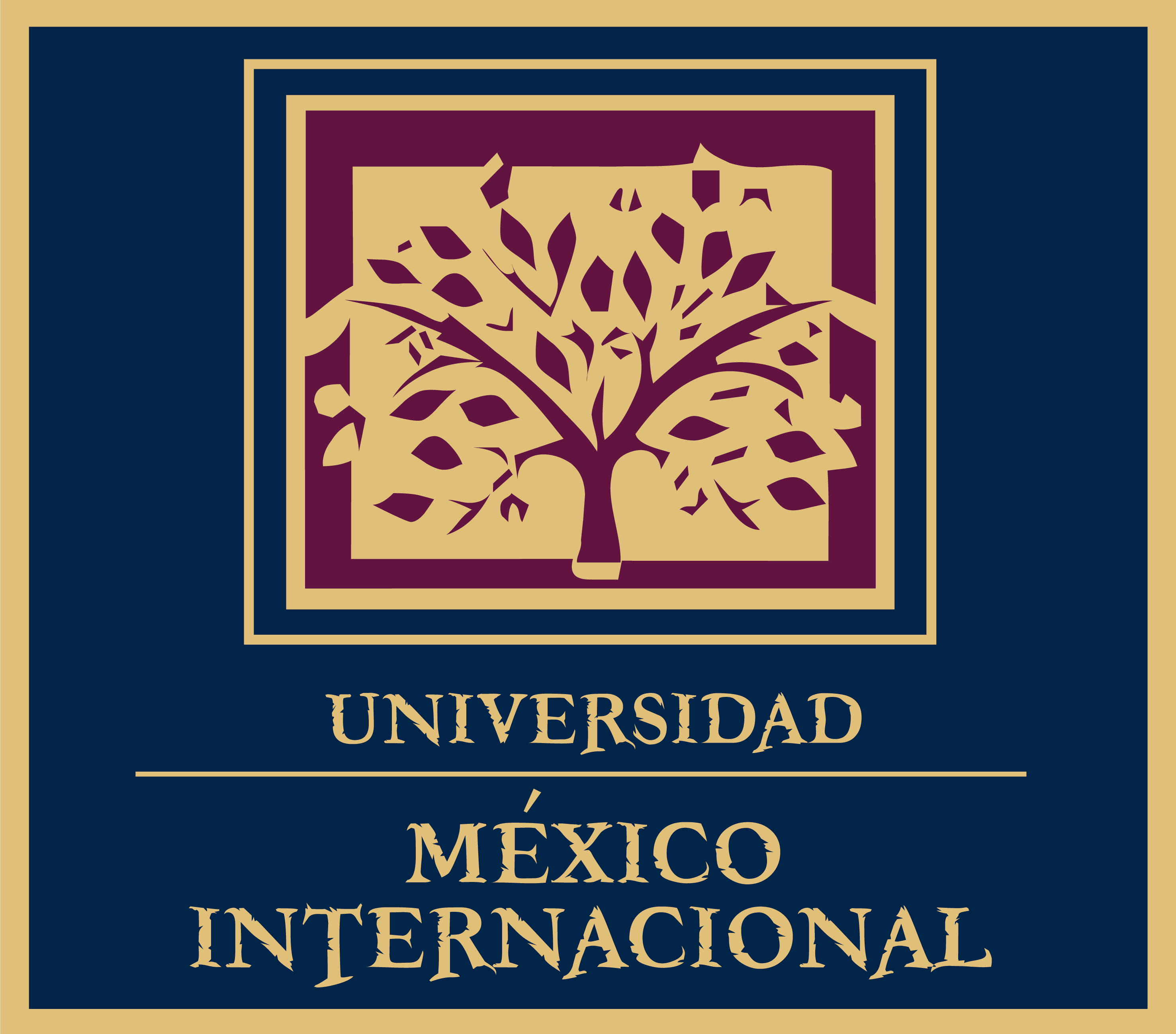 Universidad México Internacional